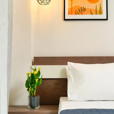 Theros By The Sea 奥林匹亚达